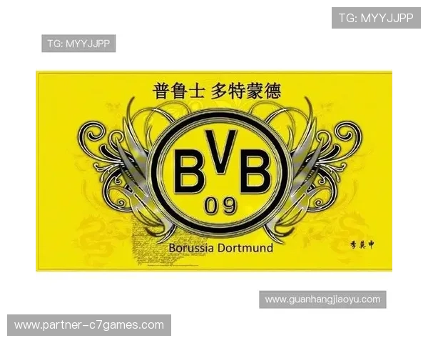 普鲁士多特蒙德俱乐部的辉煌历程与未来发展展望